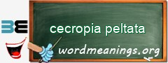 WordMeaning blackboard for cecropia peltata
